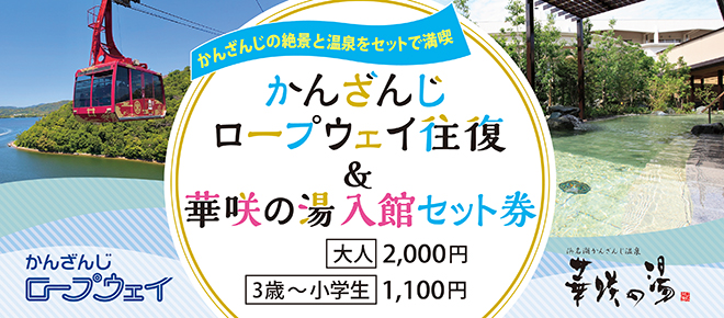 【夏休み限定】自由研究応援企画